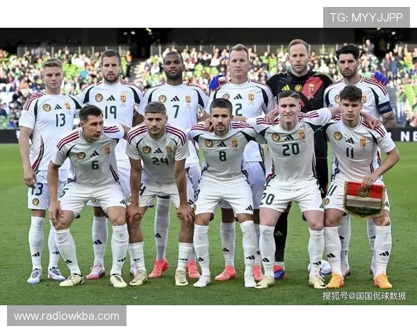 欧洲杯预选赛中小国球队展现惊人实力，黑马崛起引发广泛关注